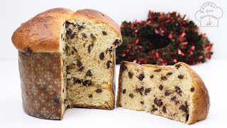 El Mejor Panettone de Chocolate hecho en casa 😍 [upl. by Ietta]