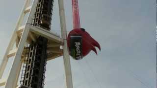 Angry Bird Hanging off the Space Needle [upl. by Madanhoj]