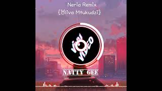 Natty Gee Neria Remix Pro by Mad vee [upl. by Leanne]