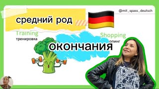 НЕМЕЦКИЙ ЯЗЫК🇩🇪  РОД СУЩЕСТВИТЕЛЬНЫХ [upl. by Nakada]