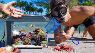 Catching SEA CREATURES For OUTDOOR AQUARIUM [upl. by Lavud]