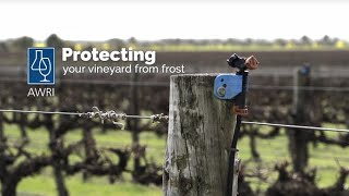 Protecting your vineyard from frost [upl. by Nesnaj282]