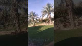 Qassim University Medical City Al Qassim KSA Beautiful Outside view qassim ksa saudiarabia [upl. by Nada]