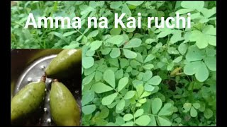 Amma na Kai ruchithagache soppu palya karavali specialhealthy recipeyearly once [upl. by Nirred]