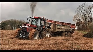 BIG CASE IH 1455 IN MUD  TRACTEUR FAILFIRE COMPILATION 2021 [upl. by Valida]