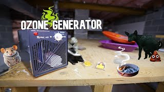 REVIEW Alpine Ozone Generator to Remove Odors [upl. by Bili]