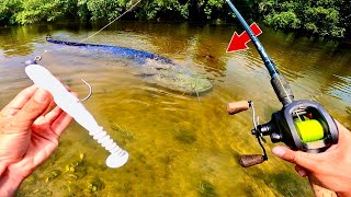 Un POISSON GÉANT inattendu dans cette petite rivière  Pêche au leurre [upl. by Sherurd]