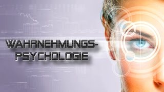 Wahrnehmungspsychologie Experiment  Kannst Du Deinem Gehirn immer vertrauen [upl. by Tamarra]