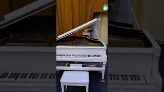 Hopkinson Baby Grand Piano with Ampico Model A Roll System [upl. by Anauqcaj104]