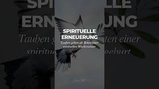 5 spirituelle Bedeutungen von Tauben 🕊️ [upl. by Eimak]