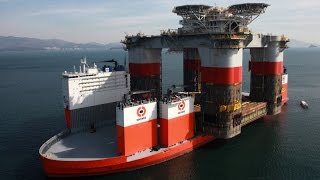 TOP 10 BIGGEST SHIPS In The WORLD [upl. by Manoff]