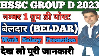 Group D की सबसे शानदार पोस्ट बेलदार Beldar कार्य सैलरी प्रमोशन कैसे HSSC GROUPD Post Perferance [upl. by Anitsihc]