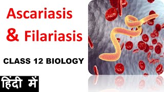 Ascariasis amp Filariasis  Class 12 Biology [upl. by Neyu]