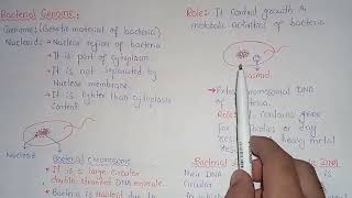 Bacterial Genome  Nucleoid Structure And Functions  Class 11 [upl. by Hennebery]