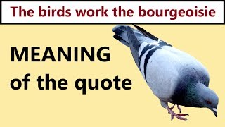 The birds work the bourgeoisie  meaning of the quote [upl. by Dyer]