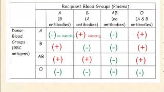 How Rh factor affects a pregnancy [upl. by Eelrebma613]