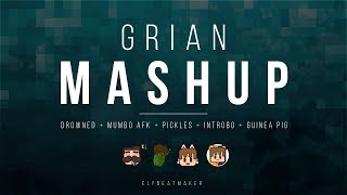 Grian  Mashup elybeatmaker Remix Compilation [upl. by Anette424]