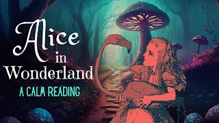 Reading of Alice in Wonderland  full audiobook  Story Reading for Sleep  Relaxing Reading [upl. by Ecerahs]