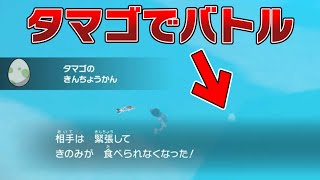 【メニューバグ】バトルで『タマゴ』を出すこともできるバグが可能性を秘めている【ポケモンSV バグ 検証 】 [upl. by Yleak]