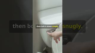 How to Install a Toilet [upl. by Lisa]