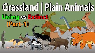 Ultimate Grassland Animal Size Comparison 2024  From Plains to Peaks Part1 [upl. by Nostrebor869]