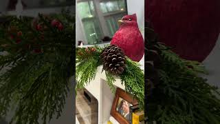 Decorating On A Budget shortsfeed diy christmas budgetfriendly [upl. by Amek]