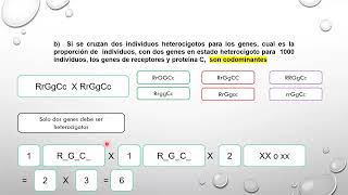 Genetica ejercicio resuelto [upl. by Diamante]