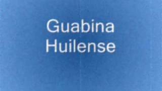 Musica ColombianaGuabinas 3guabina santandereana Guabina huilense Mi guabinita [upl. by Swanhilda554]