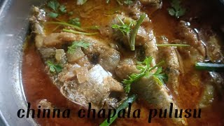 chinna chapala pulusu food cooking trending recipe curryrecipe chapalapulusu nonveg [upl. by Magulac583]