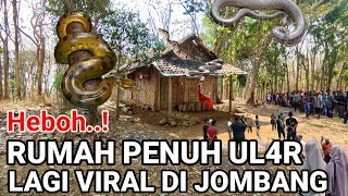 VIRAL RUMAH PENUH UL4R YANG LAGI VIRAL DI JOMBANG [upl. by Baylor]