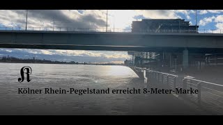 Kölner RheinPegelstand erreicht 8MeterMarke [upl. by Yrailih]