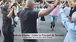 Essència dAplec  Cobla La Principal de Terrassa [upl. by Ahsilahs]