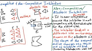 Cape biology unit 1 Enzymes Part 5 Enzymes Inhibition [upl. by Malcom]