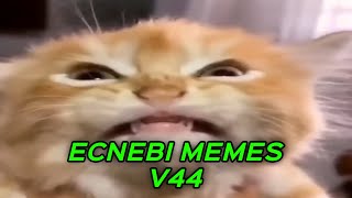 ECNEBI MEMES V44 [upl. by Riccardo]