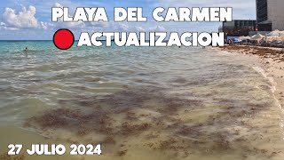 Playa Del Carmen Llega Sargazo En Playa Mamitas  27 Julio 2024 [upl. by Gascony]