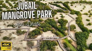 Jubail Mangrove Park  Full Walking amp Drone Tour  Al Jubail Island Abu Dhabi  4K [upl. by Scharff]