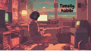 Tamally Habibi lofi  SLOWED  REVERB  ❤️ [upl. by Deering]