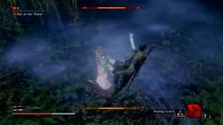 ORin of the Water Easy Method  Sekiro Shadows Die Twice NG [upl. by Vinaya]