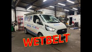 Ford Transit 20 Ecoblue wet timing belt replacement FULL GUIDE [upl. by Nylak]