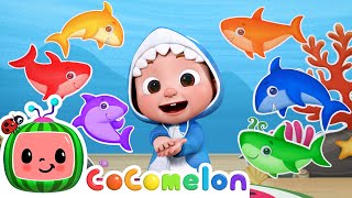 Baby Shark Learns Colors  CoComelon Nursery Rhymes amp Kids Songs [upl. by Dnalrag189]