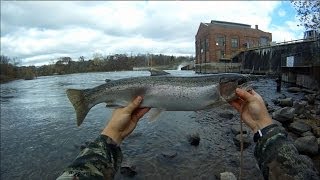 Berrien Springs Fishing 111013 [upl. by Zednanreh]