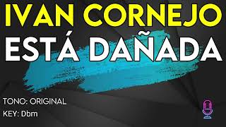 Ivan Cornejo  Esta Dañada  Karaoke Instrumental [upl. by Vyse]