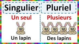 Grammaire  Apprendre le Singulier et le Pluriel [upl. by Helmut770]