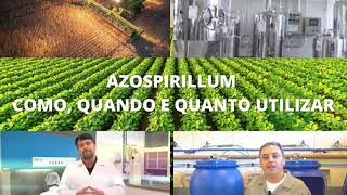 Azospirillum como quando e quanto utilizar I Bioinsumos Brasil [upl. by Tihw]