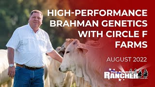 High Performance Brahman Genetics with Circle F Farms  The American Rancher [upl. by Hook69]