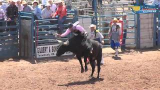 IFYR Winning Bull Ride [upl. by Maier]