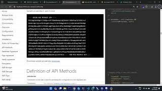 Maybank API SDK Demo  Testing [upl. by Hannan297]