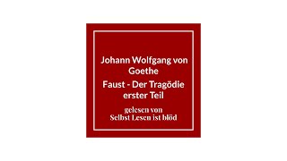 Faust Hörbuch Der Tragödie erster Teil Hörspiel🤜🏼 Johann Wolfgang von Goethe  Selbst Lesen ist blöd [upl. by Zelle239]