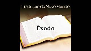 O Livro de Êxodo da Bíblia  Áudio em Português  Brasileiro PTBR [upl. by Adnesor474]