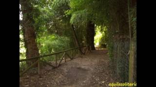 Sacile  la passeggiata lungo il Livenza aquilasolitaria [upl. by Aelanna]